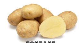 Import - Export company based in Romania, sells large