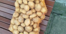 I will sell Denar, Lord, Belarossa potatoes, prepared to