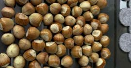 I&#39;m selling hazelnuts of the Catalan, Barcelona, and Cosford