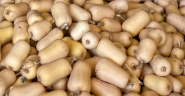Zucche butternut. Calitate superioară, livrăm peste tot.