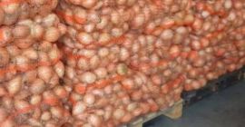 I&#39;m selling onions in hard skins. 4.5+ caliber. We