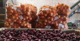 We offer a wide selection of onions: yellow, red,