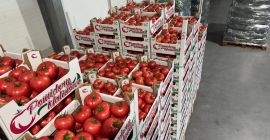 Bună ziua! JAREX oferă roșii zmeură 1B, 2B și