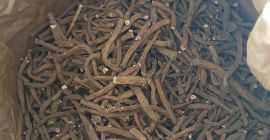 Good morning. I have dried dandelion root to offer,