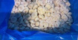 Fagyasztott banánszeletek Ecuadorból, bio. 10 kg-os dobozokban csomagolva. Raktáron: