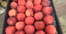 Red Delicious калибър 70+, картонени опаковки за цяла Европа
