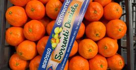DMD Fruit Srl ist ein Familienunternehmen mit Sitz in