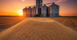 Protein content % (in dry matter) storage silo 1)