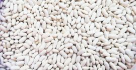 Продаётся фасоль напрямую с фермы в Кыргызстане Белая фасоль