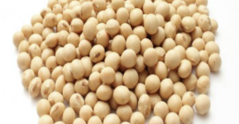 June 19 export company sell Soybean, dried ginger, hibiscus