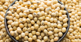 Non-Gmo Soybeans Fit for Human Consumption Purity 98%