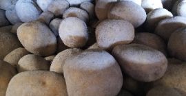Картофель сорта Агата, выращенный на равнине Фучино. Упаковка: контейнеры