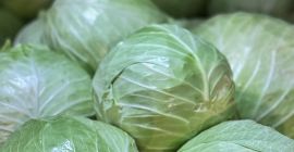 White Cabbage: Flexton, Ramco, Novoton, Ambrosia. Caliber 3+ Packaging: