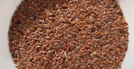 Маслинови семки, кафяв лен, 1000 тона DAP, Брест, Белгия