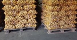 I'm selling potatoes, the Gala and Denar varieties, very