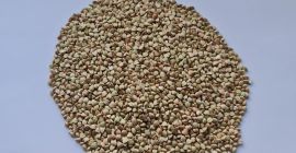 I will sell uncooked buckwheat groats and buckwheat groats