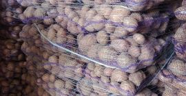 Hello. I&#39;m selling yellow and red potatoes. Truck and
