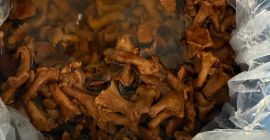 Siamo importatori di FOREST FLOUR e attualmente offriamo finferli