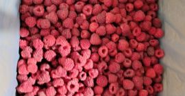 Salve, siamo la Cooperativa Agricola Fungo-Vita dalla Serbia. Vendiamo