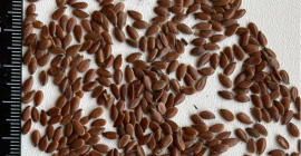 Компания CERIO продаёт КОРИЧНЕВЫЙ ЛЕН. Чистота: 97-98%, Масличность: 43%,