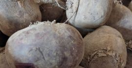 Здраво, продајем цвеклу, сорту Азума Ф1. То је лепа,