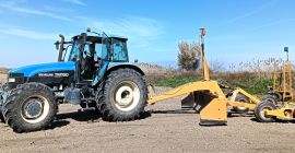 Wir verfügen über große Mengen frisch geernteten Reises aus