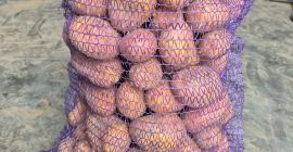 Здраво. Продајем веома укусан кромпир сорти Балана (жути) и