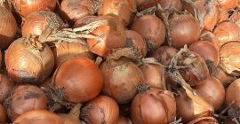 Verkaufe Roten und Gelben Zwiebel feldfallend oder Sortiert. Bei