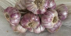 Я буду продавать чеснок, сибирский и т. Д., В