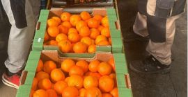 Свежие мандарины премиум-класса доступны оптом. Прямые поставки. Стабильное качество,