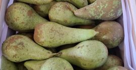 6,5-8 fős, közepes 5-60 fős és kis konferenciákat árulok.