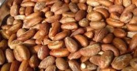 Legjobb fokozatú Bitter Kola nagyon jó áron, 20 $.