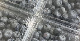 Ich verkaufe amerikanische Blaubeeren, Herkunftsland Peru, Standort Polen. Bitte