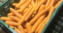 Vând morcovi spălați și periați. Calibru comercial. Preț 0,80gr/kg.