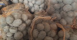 Posiadam na sprzedaż ziemniaki wineta i jolly polecam