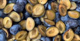 IQF frozen plums halves for industrial processing and export.