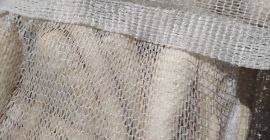 Mosott, kereskedelmi, durva és piszkos sárgarépát árulok. Raklapos vagy