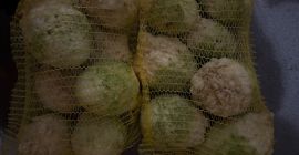 Pentru toate informațiile, contactați Mail: [adresă de e-mail]