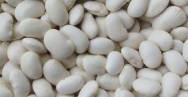 Witam oferujemy na sprzedaż fasolę Jaś karlowy ilości calosamochodowe