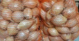 Ich verkaufe süße Ausstellungszwiebeln aus der diesjährigen Ernte. –