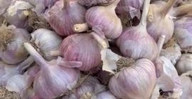 Mi chiamo Nurlybek e rappresento KZ EXPORT. Siamo lieti