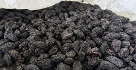 Stanley prunes, produced in Moldova. Large, uncalibrated, pitted. Packed