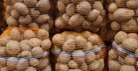 I'm selling Vineta edible potatoes from the farm. The