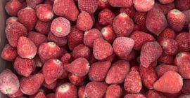 Căpșuni congelate din Kârgâzstan (IQF) Căpșunile noastre congelate sunt