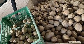 Egyéni vállalkozó vagyok és egy gazdaságot üzemeltetek Lengyelországban (Szilézia