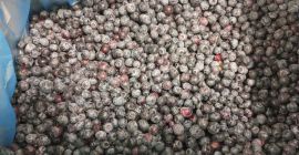 Продавам 40 тона замразено културно рафиниране с най-високо качество.