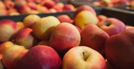 Mele Idared in vendita. Pietrari, Dâmbovița. Circa 5 tonnellate