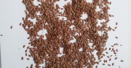 Wir verkaufen braunen Flachs direkt vom Hersteller. FCA Kasachstan.