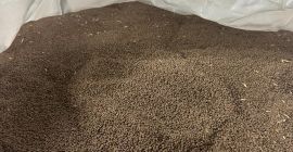 Ernte: 2025 Herkunft: Kasachstan Feuchtigkeit: 14 % Reinheit: 98