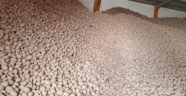 Кромпир фонтане, помфрит и једење кромпира доброг квалитета, ен